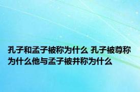 孔子和孟子被称为什么 孔子被尊称为什么他与孟子被并称为什么