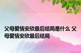 父母爱情安欣最后结局是什么 父母爱情安欣最后结局