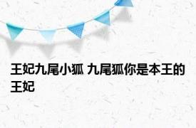 王妃九尾小狐 九尾狐你是本王的王妃 