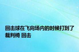 回击球在飞向场内的时候打到了裁判椅 回击 