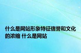 什么是网站形象特征信誉和文化的浓缩 什么是网站