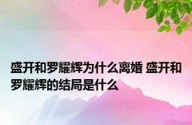 盛开和罗耀辉为什么离婚 盛开和罗耀辉的结局是什么