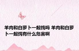 羊肉和白萝卜一起炖吗 羊肉和白萝卜一起炖有什么危害啊