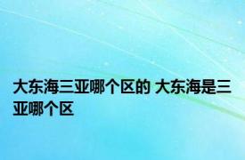 大东海三亚哪个区的 大东海是三亚哪个区