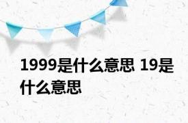 1999是什么意思 19是什么意思 