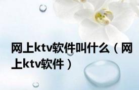 网上ktv软件叫什么（网上ktv软件）