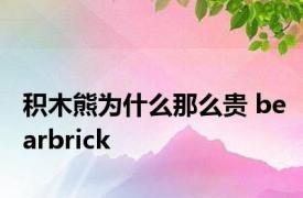 积木熊为什么那么贵 bearbrick 