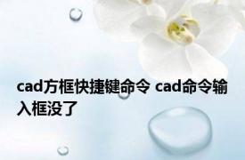 cad方框快捷键命令 cad命令输入框没了 