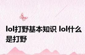 lol打野基本知识 lol什么是打野