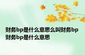 财务bp是什么意思么叫财务bp 财务bp是什么意思 