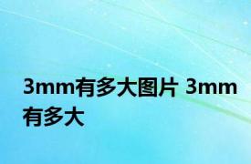 3mm有多大图片 3mm有多大