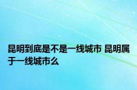 昆明到底是不是一线城市 昆明属于一线城市么