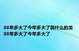 88年多大了今年多大了属什么的龙 88年多大了今年多大了 