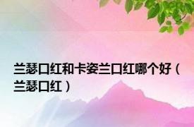 兰瑟口红和卡姿兰口红哪个好（兰瑟口红）