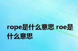 rope是什么意思 roe是什么意思 