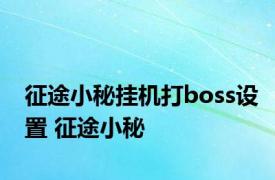 征途小秘挂机打boss设置 征途小秘 