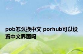 pob怎么换中文 porhub可以设置中文界面吗