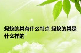 蚂蚁的巢有什么特点 蚂蚁的巢是什么样的