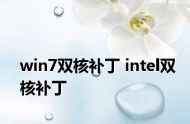 win7双核补丁 intel双核补丁 