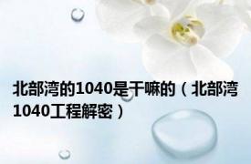 北部湾的1040是干嘛的（北部湾1040工程解密）