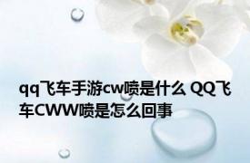 qq飞车手游cw喷是什么 QQ飞车CWW喷是怎么回事