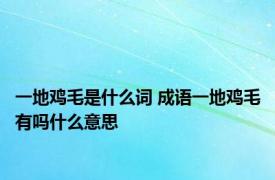 一地鸡毛是什么词 成语一地鸡毛有吗什么意思