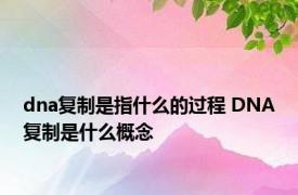 dna复制是指什么的过程 DNA复制是什么概念