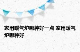 家用暖气炉哪种好一点 家用暖气炉哪种好