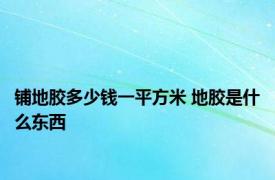 铺地胶多少钱一平方米 地胶是什么东西