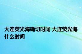 大连荧光海确切时间 大连荧光海什么时间