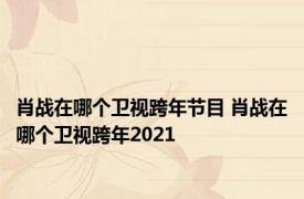 肖战在哪个卫视跨年节目 肖战在哪个卫视跨年2021 