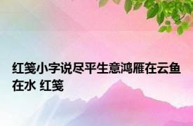 红笺小字说尽平生意鸿雁在云鱼在水 红笺 