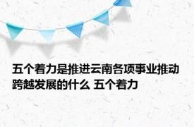 五个着力是推进云南各项事业推动跨越发展的什么 五个着力 