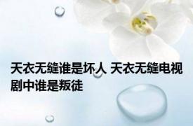 天衣无缝谁是坏人 天衣无缝电视剧中谁是叛徒