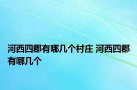 河西四郡有哪几个村庄 河西四郡有哪几个