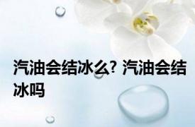 汽油会结冰么? 汽油会结冰吗 