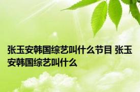 张玉安韩国综艺叫什么节目 张玉安韩国综艺叫什么