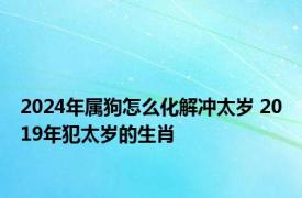 2024年属狗怎么化解冲太岁 2019年犯太岁的生肖 