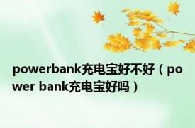 powerbank充电宝好不好（power bank充电宝好吗）