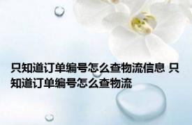 只知道订单编号怎么查物流信息 只知道订单编号怎么查物流