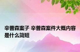 辛普森案子 辛普森案件大概内容是什么简短