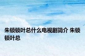 朱锁锁叶总什么电视剧简介 朱锁锁叶总 