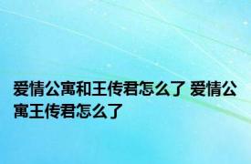 爱情公寓和王传君怎么了 爱情公寓王传君怎么了 