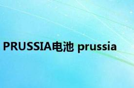 PRUSSIA电池 prussia 