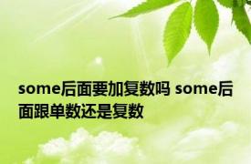 some后面要加复数吗 some后面跟单数还是复数 