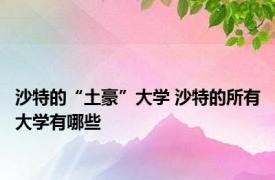 沙特的“土豪”大学 沙特的所有大学有哪些