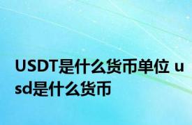 USDT是什么货币单位 usd是什么货币