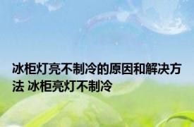 冰柜灯亮不制冷的原因和解决方法 冰柜亮灯不制冷 