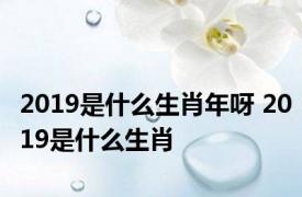 2019是什么生肖年呀 2019是什么生肖 