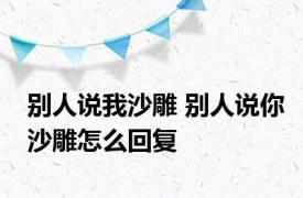 别人说我沙雕 别人说你沙雕怎么回复